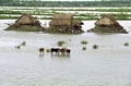 Flooding in the delta Bangladesh, climate changes Royalty Free Stock Photo