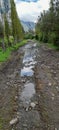 Flooding in a dirt road in the back country, Cotacachi, Ecuador, andes, South America Royalty Free Stock Photo