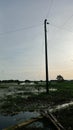 Power Pole in the middle of a flooded area