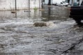 Flooding after heavy rains in city. Sewage broke open asphalt and blew up fountain. Dirty sewage broke through storm sewer and Royalty Free Stock Photo