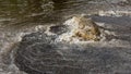 Flooding after heavy rains in city. Sewage broke open asphalt and blew up fountain. Dirty sewage broke through storm sewer and Royalty Free Stock Photo