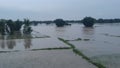 Flooding is an overflowing of water onto land due to rains also tree plant loose in madhubani india