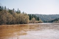 Flooding of river in spring after fast melting of snow. Flood in forest.