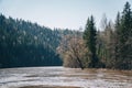 Flooding of river in spring after fast melting of snow. Flood in forest.