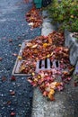 Flooding threat, fall leaves clogging a storm drain, street, curb, garden, yard waste container