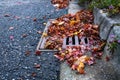 Flooding threat, fall leaves clogging a storm drain on a wet day, street and curb Royalty Free Stock Photo