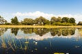 Flooded Okavango Delta. Beautiful flooded landscape with water lilies. Blue sky, white clouds reflecting in water like mirror. Royalty Free Stock Photo