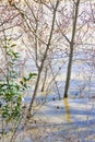 Flooding after torrential rain in a sunny day - concept image