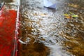 Flooding, winter rains in Israel. Rain Water floods the pavement and the cars road Royalty Free Stock Photo