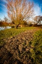 Floodline of vegetation