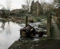 Floodplain damage with bridge and log shown in emphasis of damage.