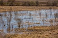 The floodplain flooded with water