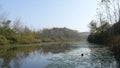 Floodplain forest in Acarlar longoz at Karasu, Sakarya, Turkey