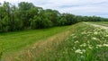 Floodplain forest along the Kettos-Koros river, Bekes - spring in Hungary