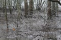 English frozen rural landscape on a frosty and foggy day Royalty Free Stock Photo