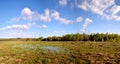 Floodplain meadow