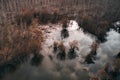 Floodplain wooded area from drone pov