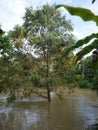 floods hit our village, this is our house that was flooded.