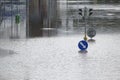 Floods in Prague, Czech Republic, June 2013