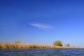 Floods of the river with thickets of reeds in early spring. Dniester. Ukraine.