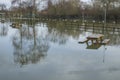 Floods with sunken picnic tables with reflexions near Tewkesbury Royalty Free Stock Photo