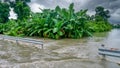 Extreme weather causing agricultural flooding in the Philippines.