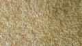 floor on brown fur rug Royalty Free Stock Photo