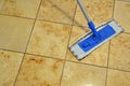 Floor cleaning rag Royalty Free Stock Photo