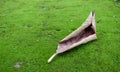 Floor with green moss and dry old leaf Royalty Free Stock Photo