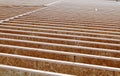 Silent style floor joists, made from engineered wood, in the floor of an office building being constructed. Royalty Free Stock Photo