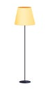 Floor Lamp with Black Stand Vector Illustration