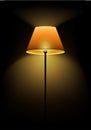 Floor lamp shines in the dark. Vector illustration