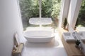 home bathroom design window room white apartment indoor house interior tub. Generative AI.