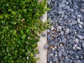 The floor is made of Stone and Grass platform, Barrier with Concrete bar, Texture space for text and decorative design. Royalty Free Stock Photo