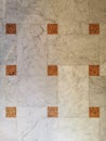 Floor Marble Decorated Tiles top view