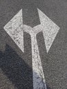 floor marking or road marking