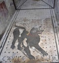 Floor mosaic with -Beware of the dog-warning at the ancient Roman city of Pompeii, which was destroyed and buried by ash during Royalty Free Stock Photo