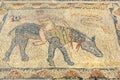 Floor mosaic in House of Athlete in Roman ruins, ancient Roman city of Volubilis. Morocco Royalty Free Stock Photo