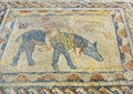 Floor mosaic in House of Athlete in Roman ruins, ancient Roman city of Volubilis. Morocco Royalty Free Stock Photo
