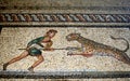 Floor mosaic, Rhodes Royalty Free Stock Photo