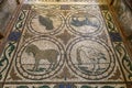 Floor mosaics of the St Mark`s Basilica in Venice Royalty Free Stock Photo