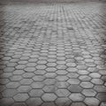 Floor paving tiles or cement brick floor