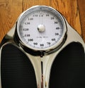 Floor scales taken close up. Royalty Free Stock Photo