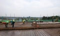 Floor slab and beam reinforcement bar under fabrication at the construction site by workers.