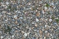 A floor of small colored stones with some herbs Royalty Free Stock Photo