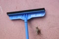 Floor squeegee or sponge squeegee with blue plastic handle supported on wall
