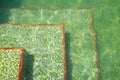 Floor of a swimming pool with ripples of light and green ceramic mosaic tile Royalty Free Stock Photo