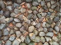 Floor texture of rounded stones, dry leaves and twigs Royalty Free Stock Photo