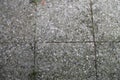 Floor tiles with pebbles