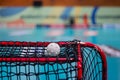 Floorball ball on goal net